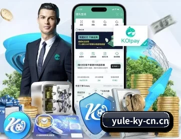 开云电竞 APP 深度功能